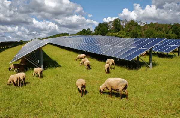 Sustainable Energy
